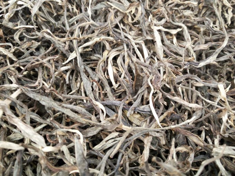 普洱茶