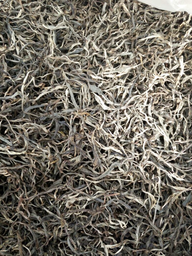 普洱茶