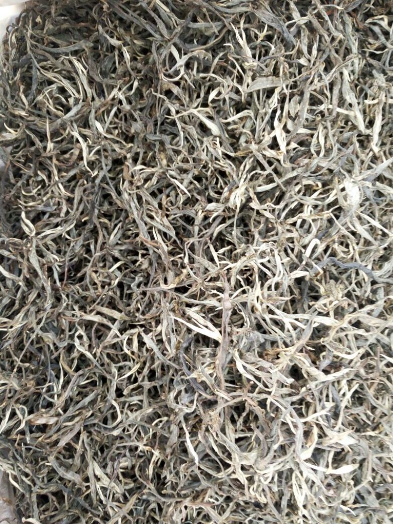 普洱茶