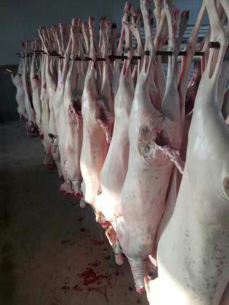 羊杂包装