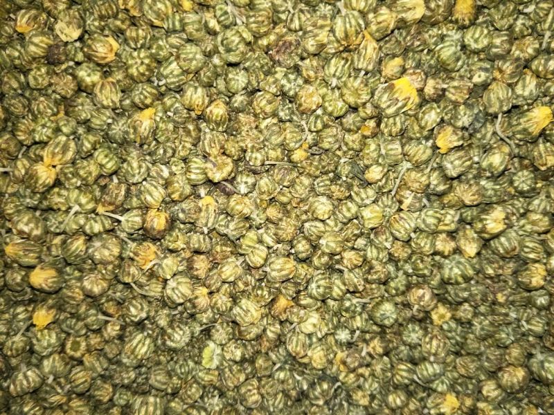 珍珠菊花茶