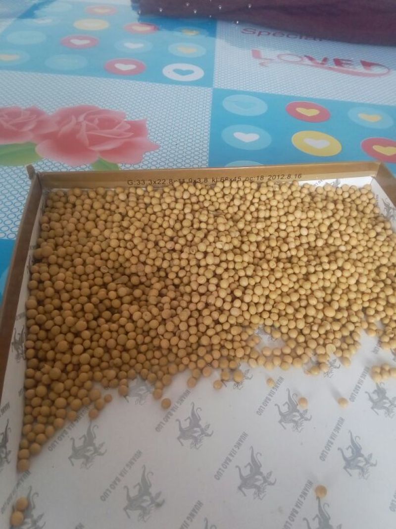 芽豆食用