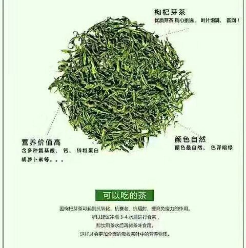 枸杞叶茶一级