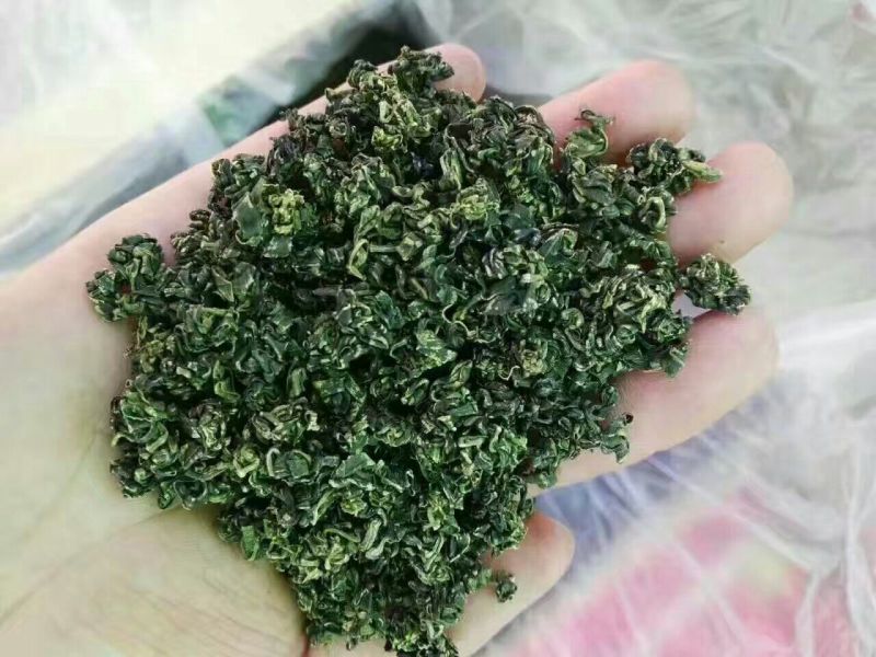 枸杞叶茶一级