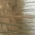 柳树2~4cm6~8cm3.5~4米