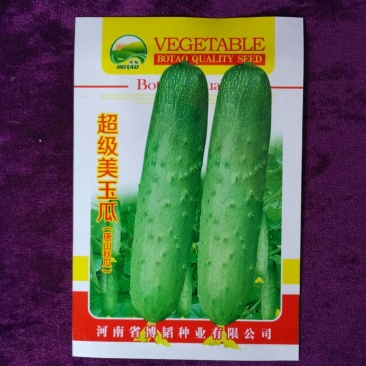 黄瓜种子90%以上