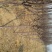 红香酥梨树苗100~150cm1cm以下