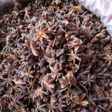 八角茴香大红