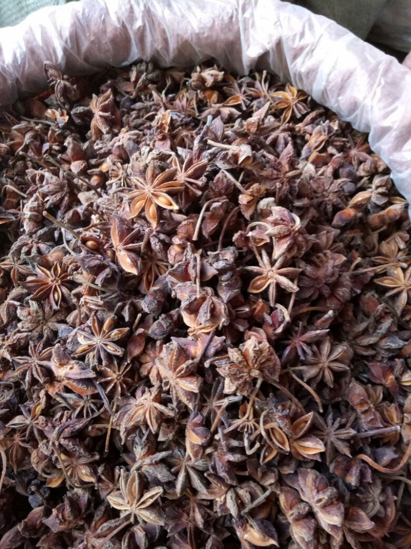 八角茴香大红