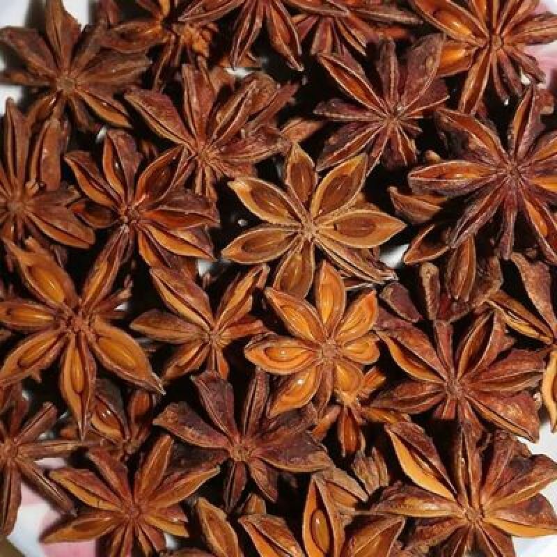 八角茴香大红