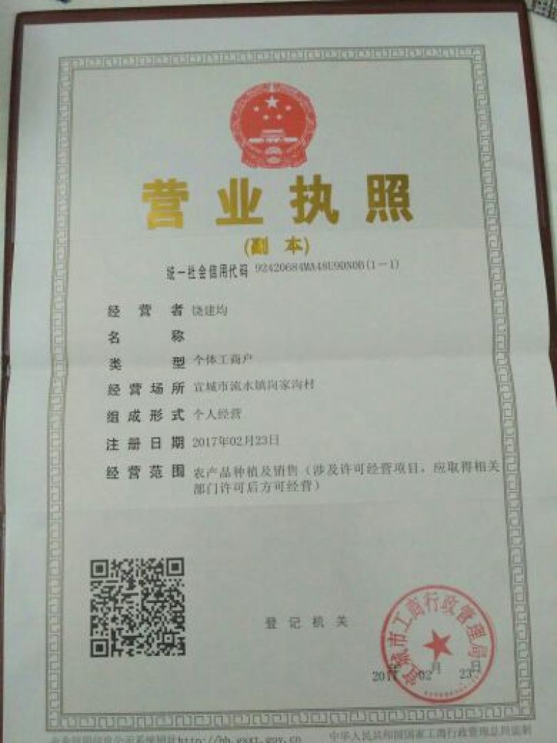 黑美人西瓜6斤打底8成熟1茬