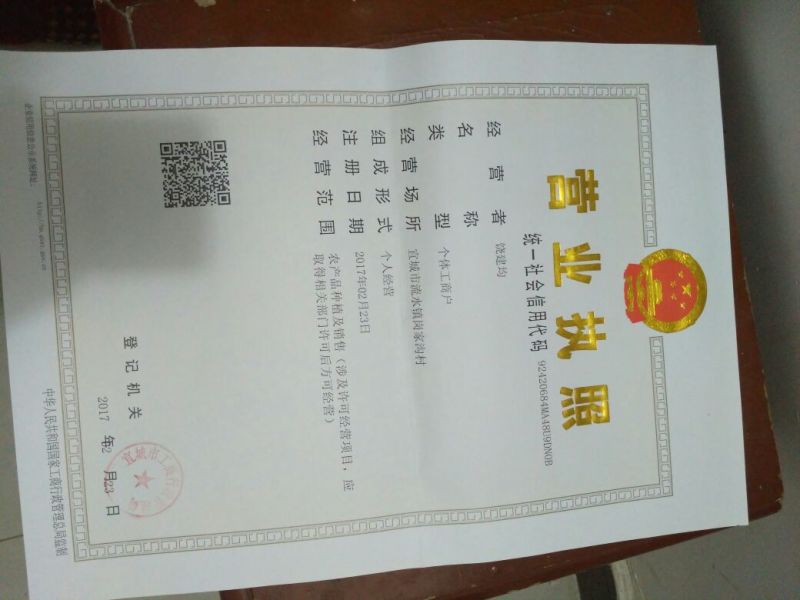 黑美人西瓜6斤打底8成熟1茬