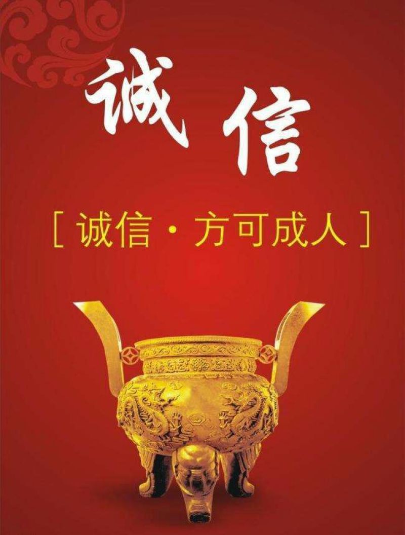 金银花苗40~50cm