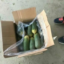 青萝卜1.5~2斤，清脆爽口