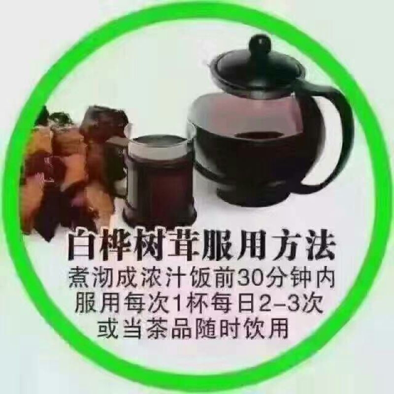 桦树泪