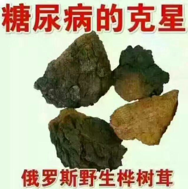 桦树泪