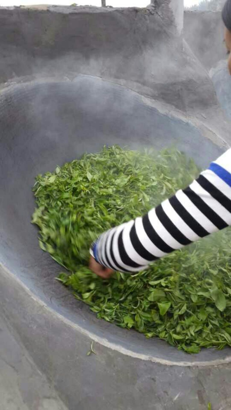 古树普洱茶特级