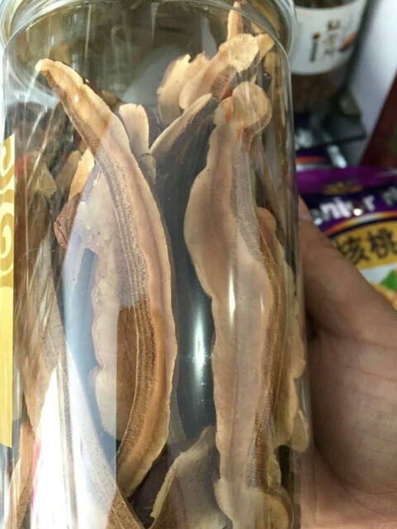 灵芝切片