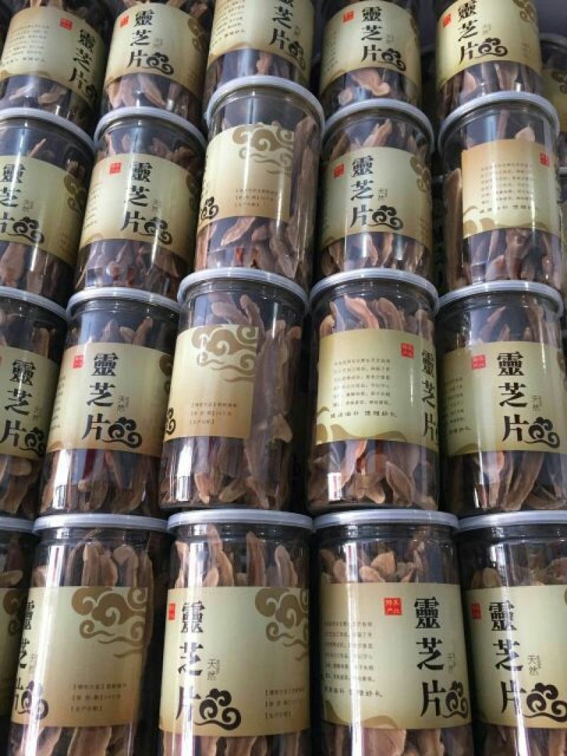 灵芝切片