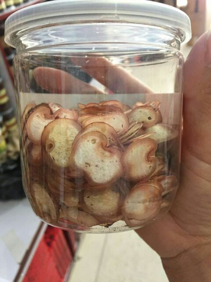 鹿鞭梅花鹿较广