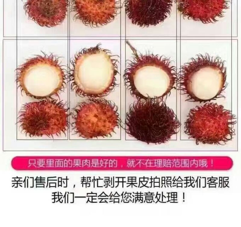 毛丹2cm以上