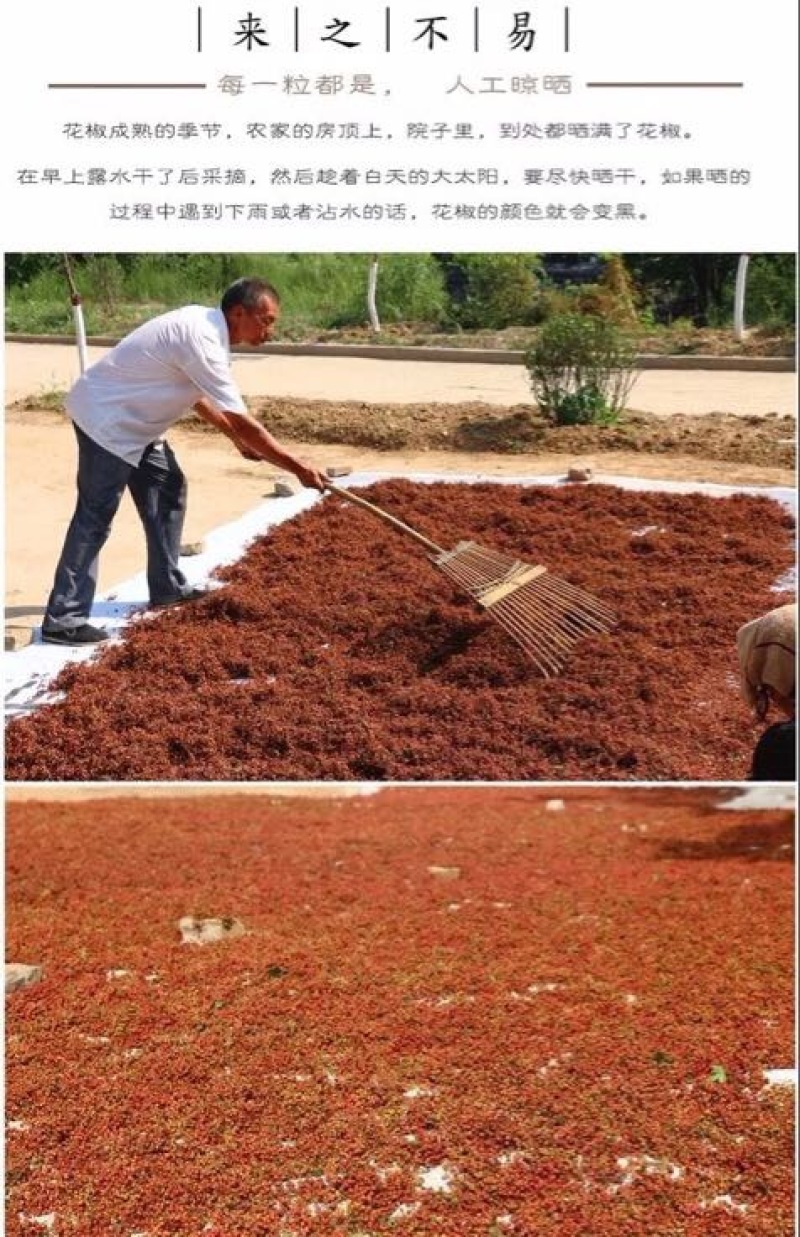 大红袍花椒一级干