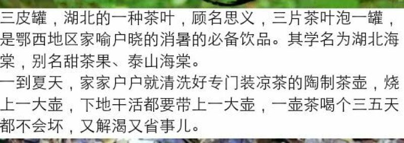 三匹罐山茶叶海棠茶茶叶自然晒干