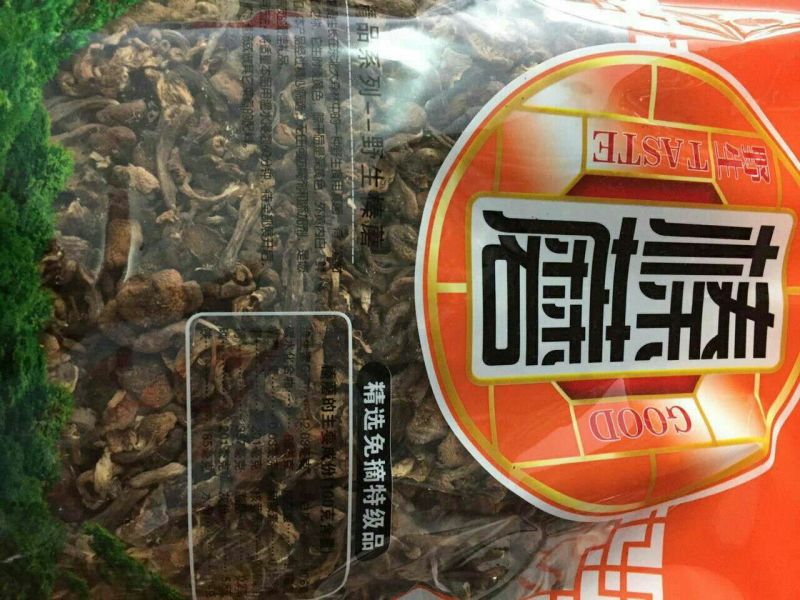 榛蘑