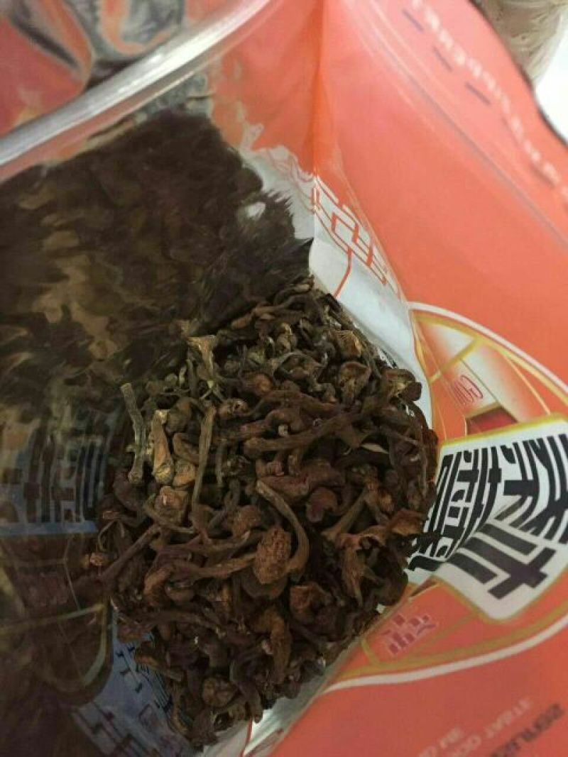 榛蘑