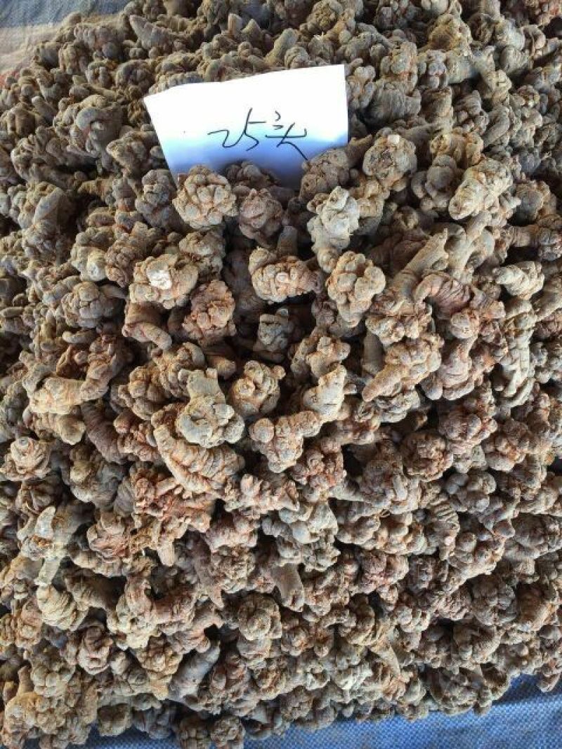 三七选货32头