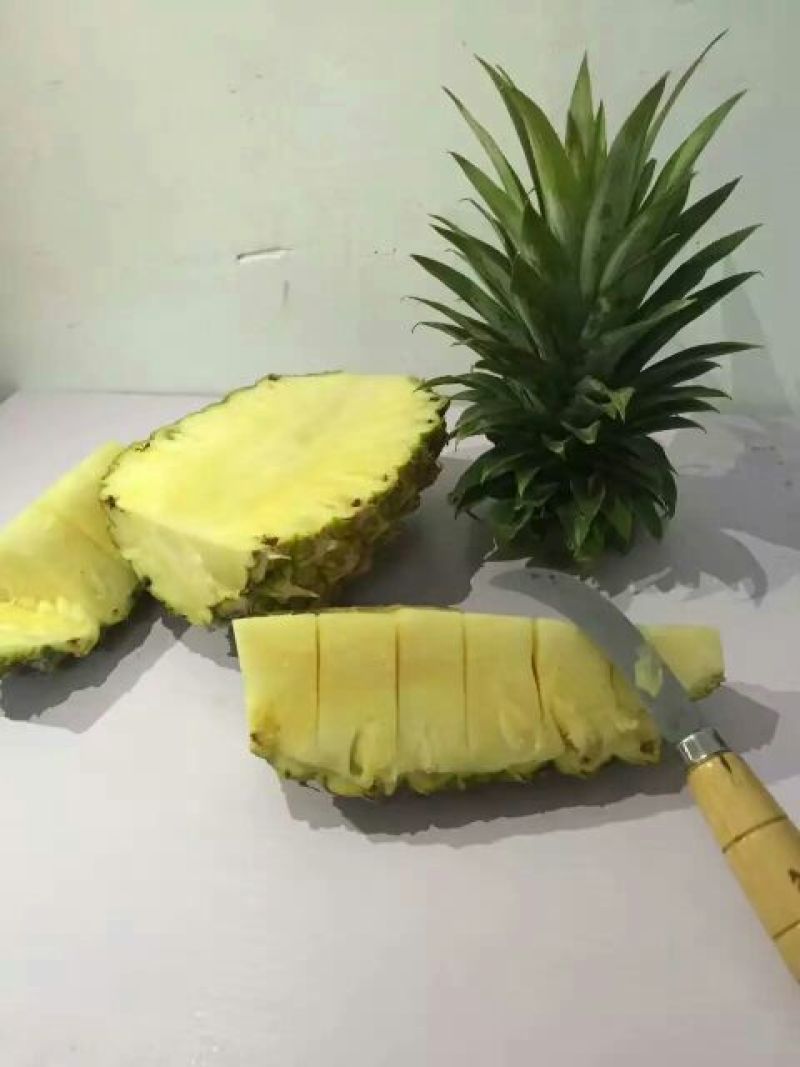 16号台湾甜蜜蜜凤梨苗，壮苗出大果，台湾凤梨