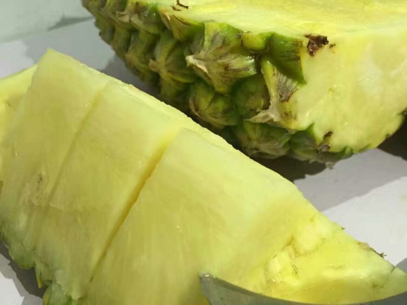 16号台湾甜蜜蜜凤梨苗，壮苗出大果，台湾凤梨