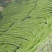 乌龙红茶一级