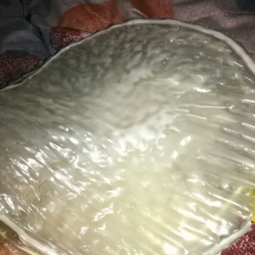 绿豆粉皮包装手工粉皮
