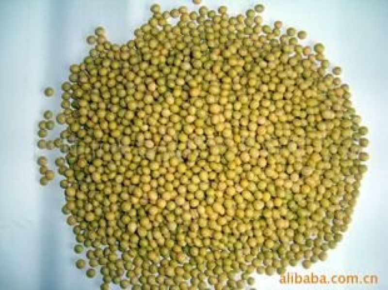 芽豆食用
