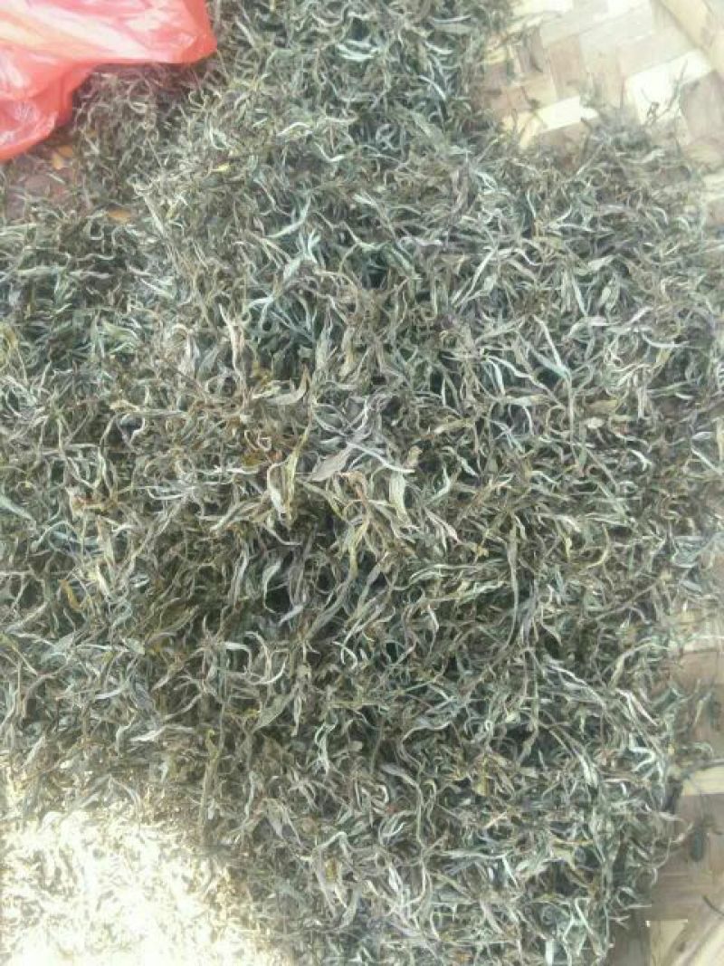 古树普洱茶特级