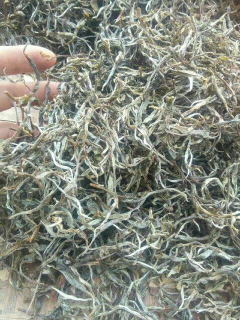 古树普洱茶特级