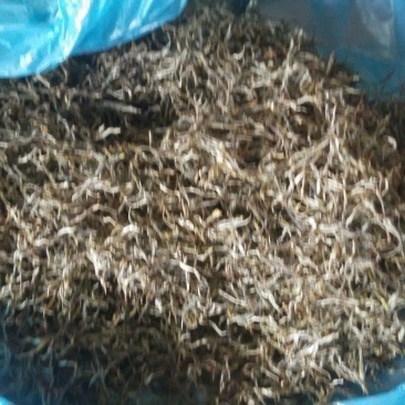古树普洱茶特级