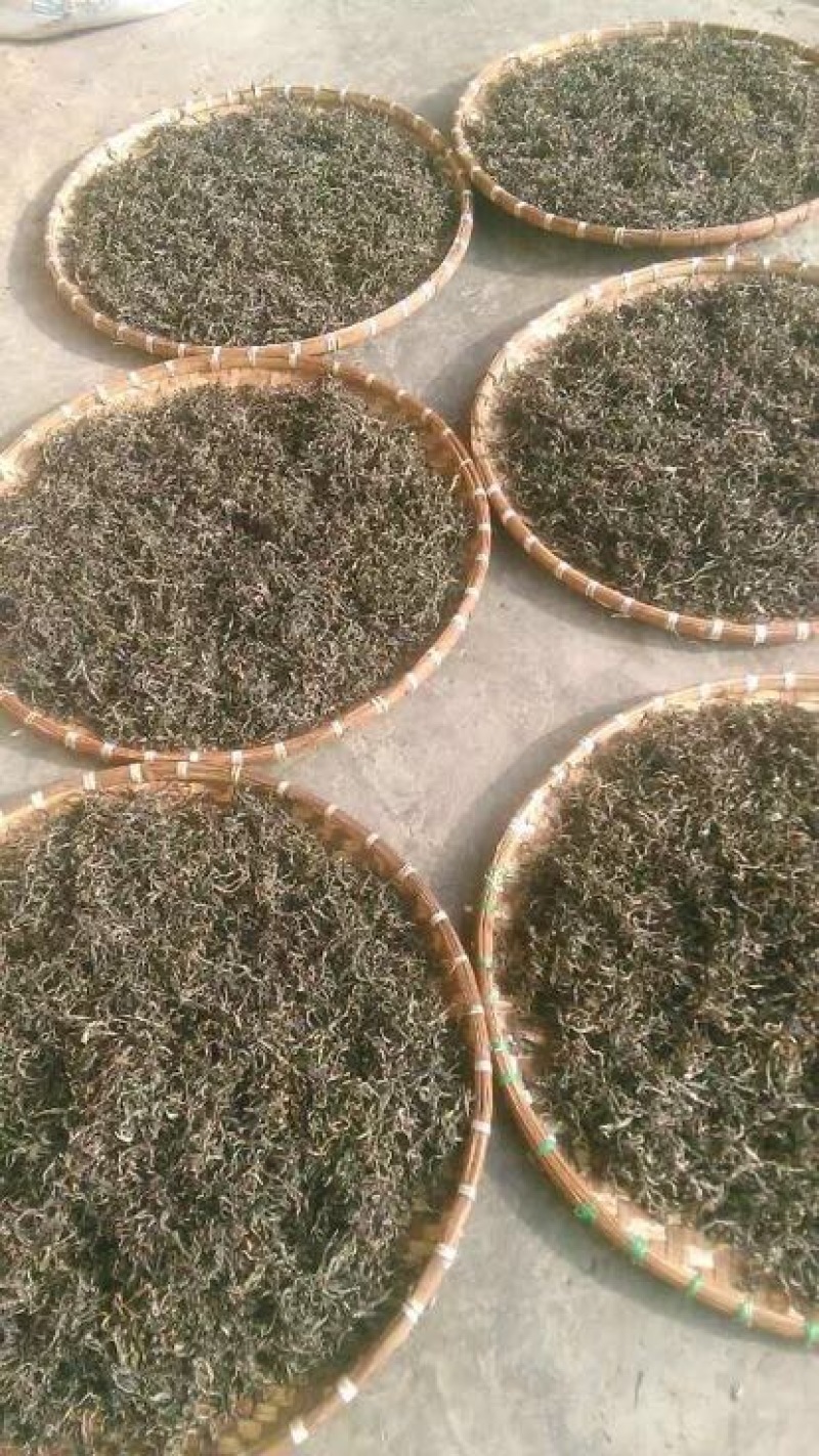 百年大树茶
