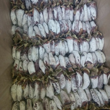 柿饼1~2两