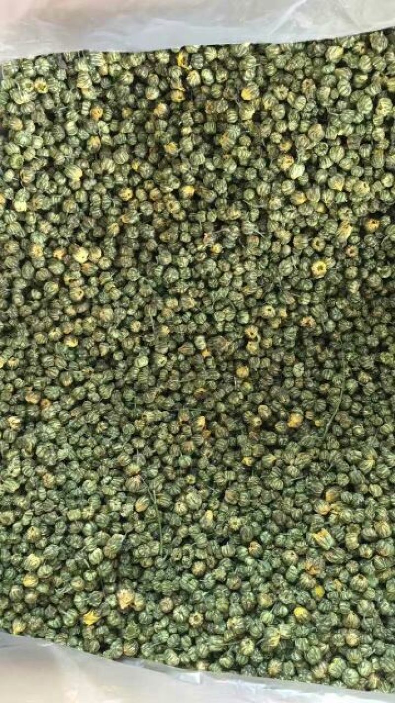 药用菊花散装