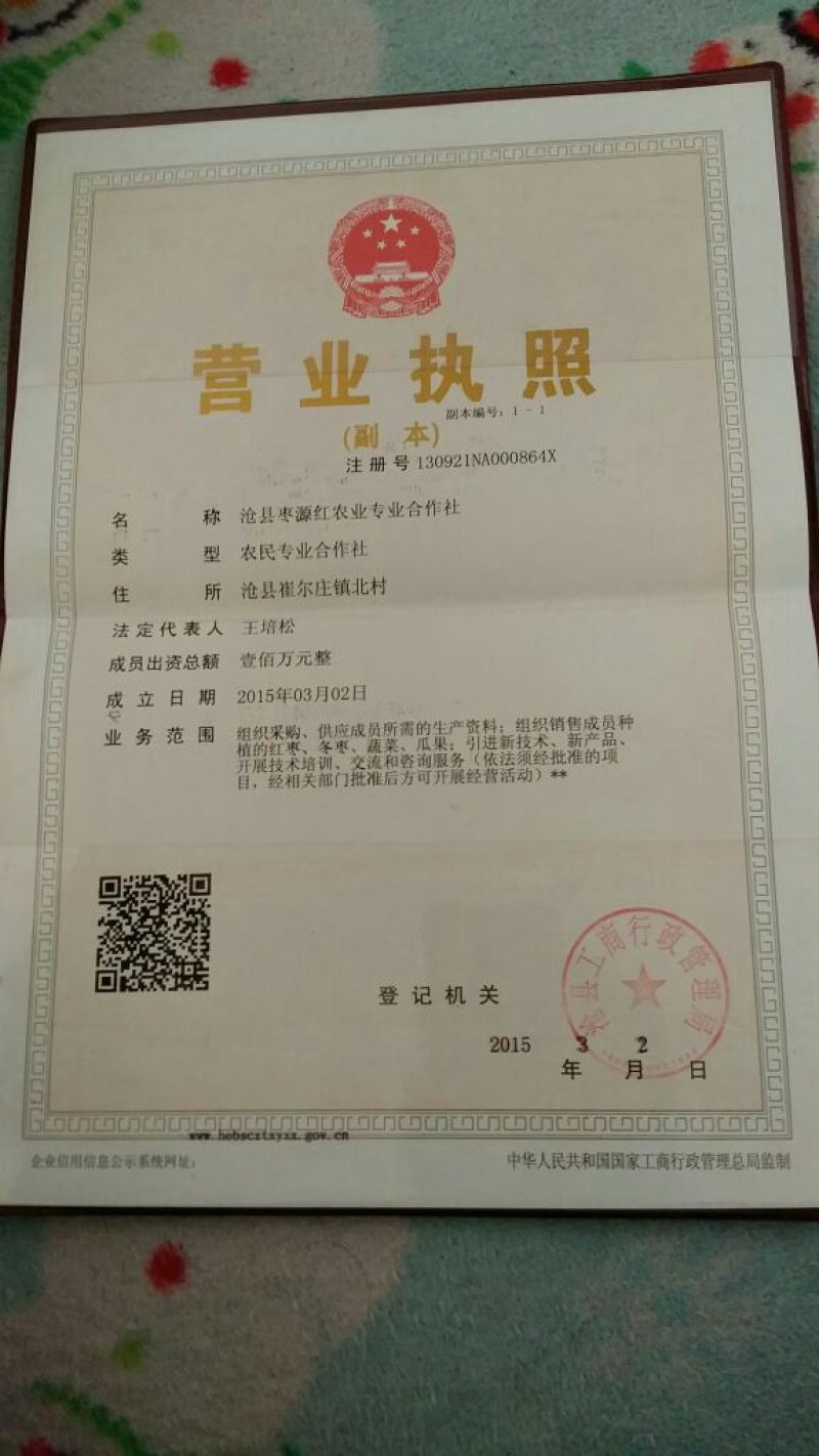 阿克苏红枣特级干枣
