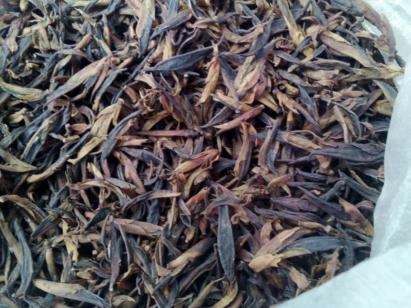 古树茶特级