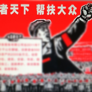 黑驴400~500斤