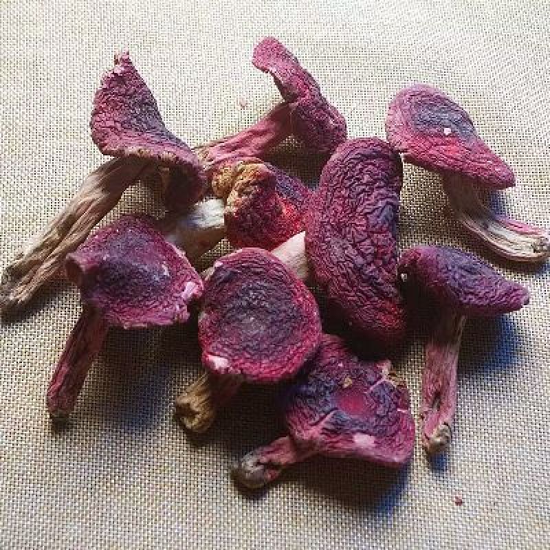 青头菌0.1%1%特级5cm以下