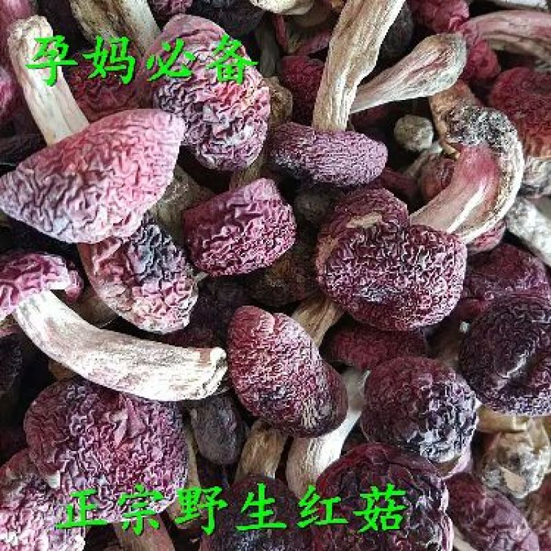 青头菌0.1%1%特级5cm以下