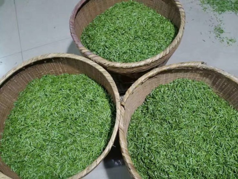 川茶