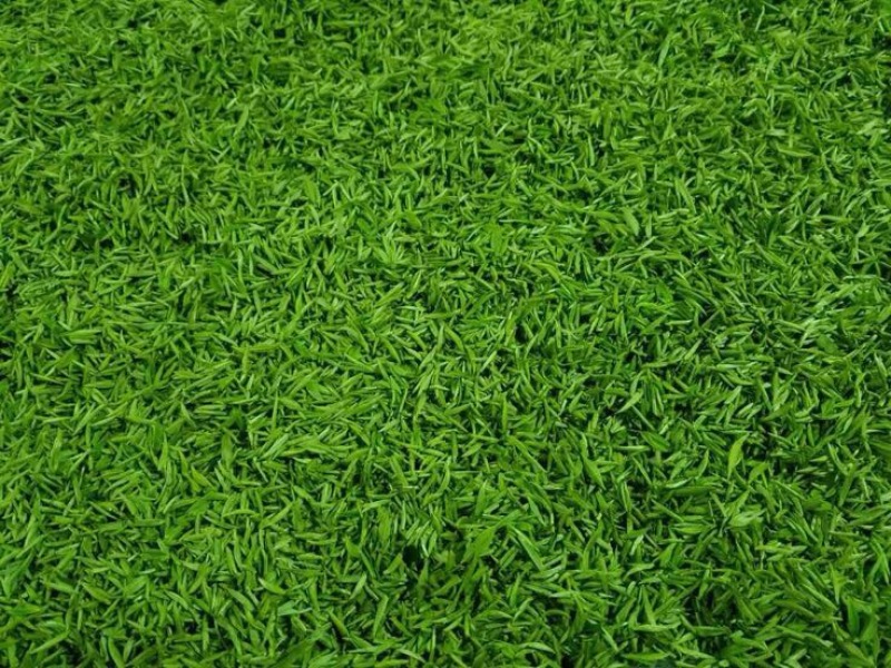 川茶