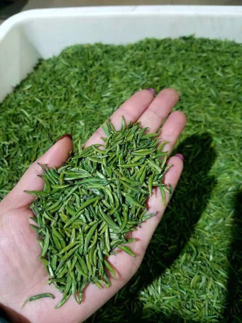 川茶