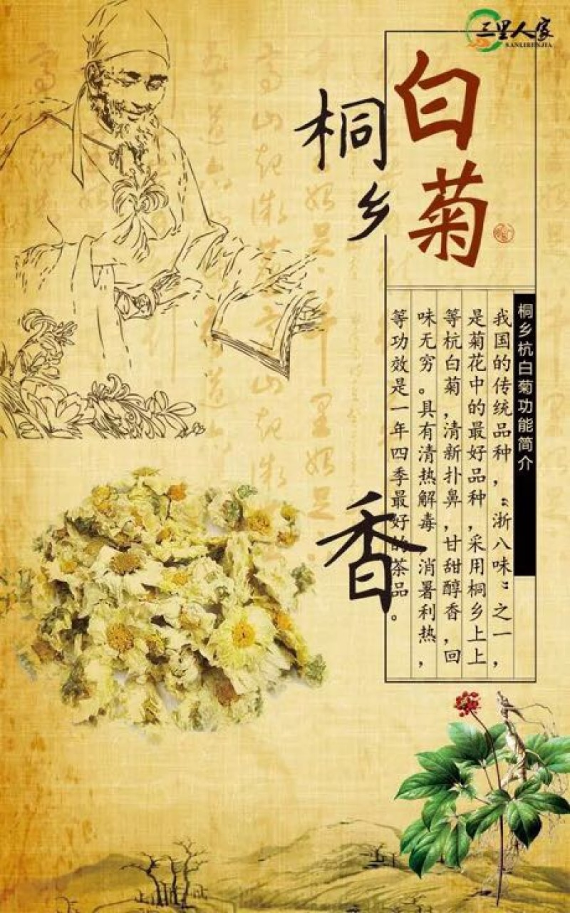 姜茶